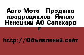 Авто Мото - Продажа квадроциклов. Ямало-Ненецкий АО,Салехард г.